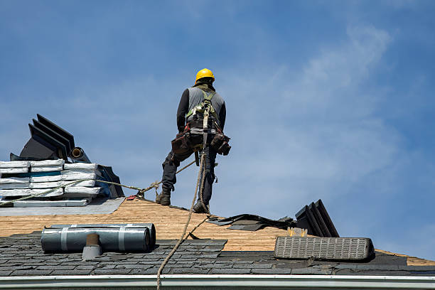 Professional Gutter Installation technician working in Zellwood, FL